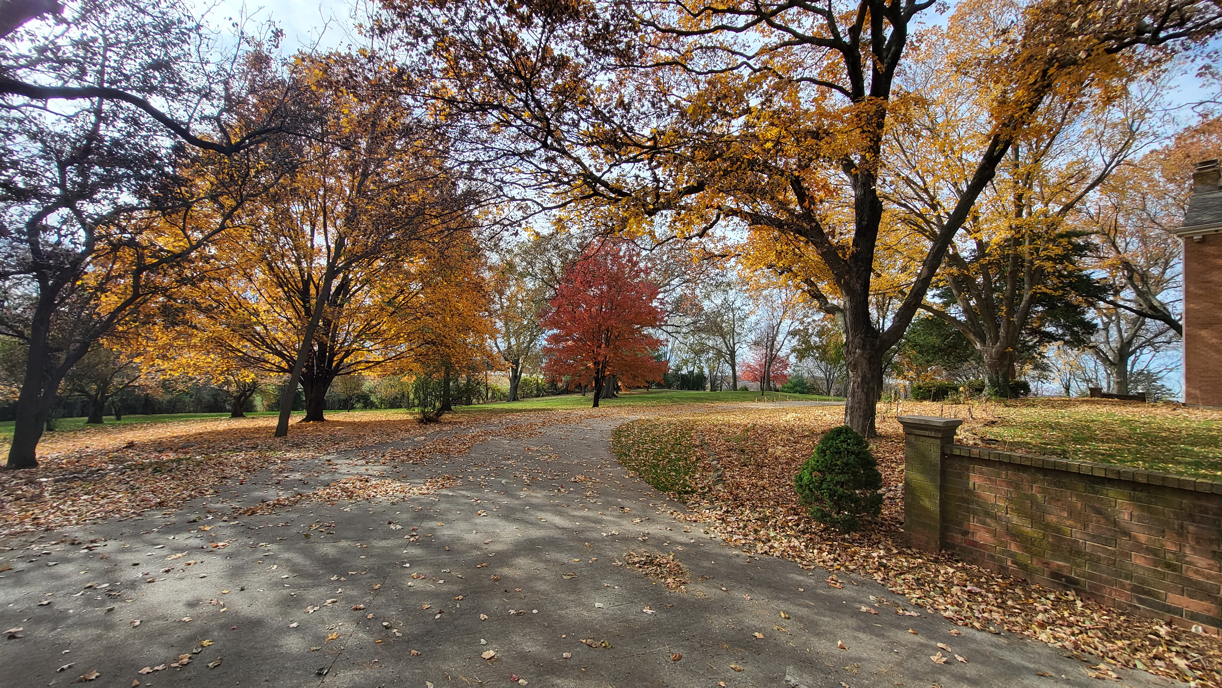 Driveway in the Fall